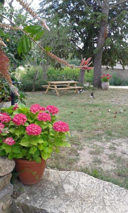 Agriturismo Le Stiacce Saturnia Ngoại thất bức ảnh
